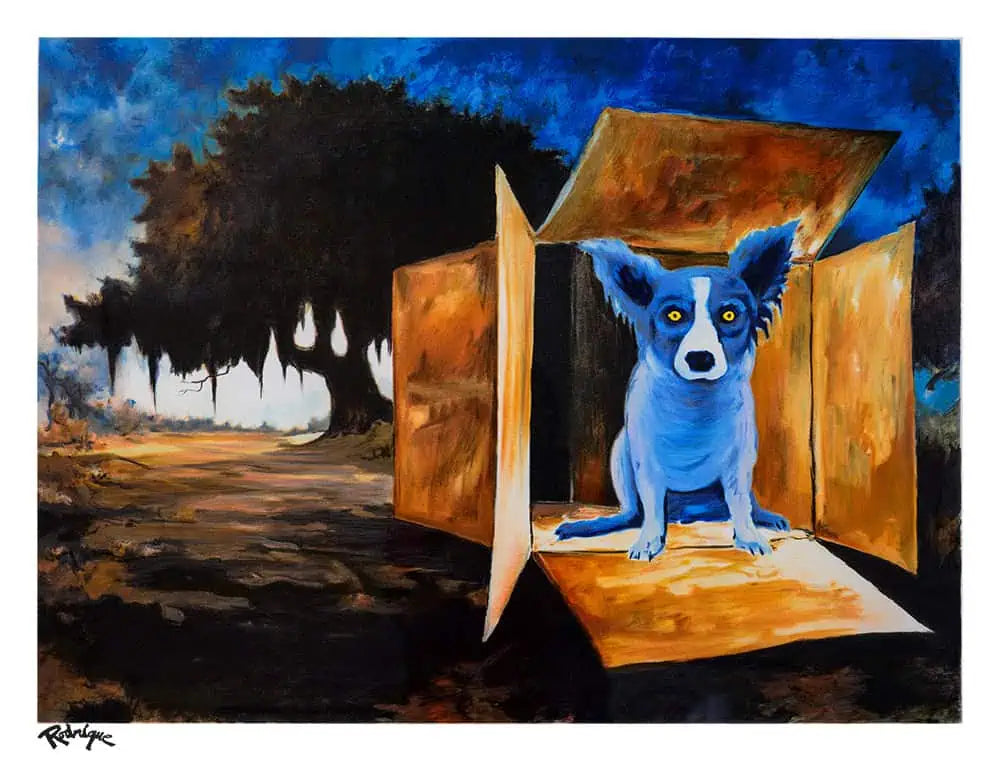 Dog in a Box